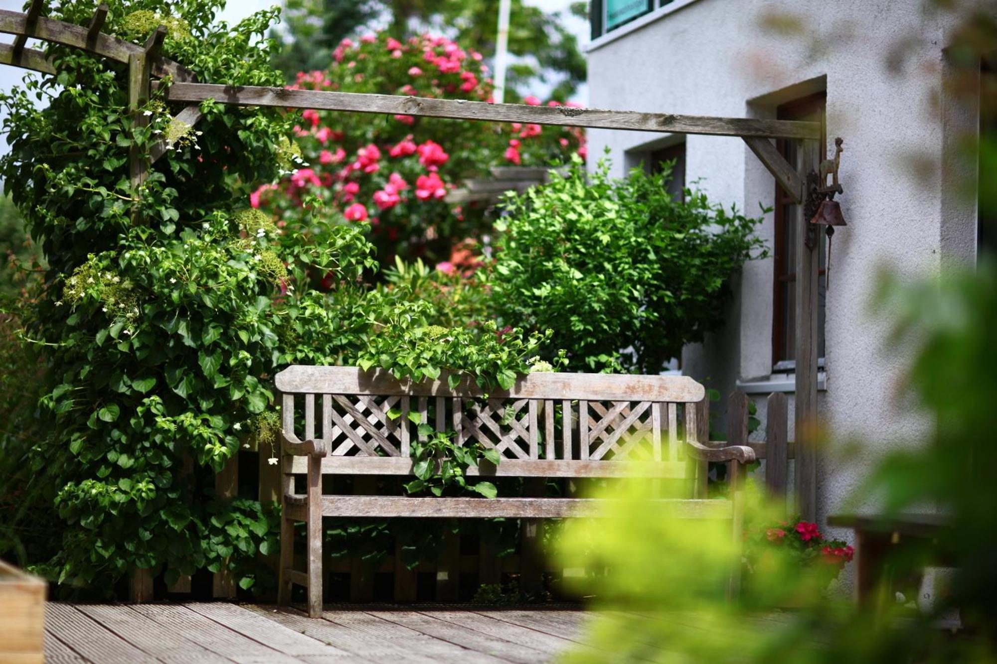 Haus Wildgans - Ferienwohnung Sonnenblume Behrensdorf Eksteriør bilde